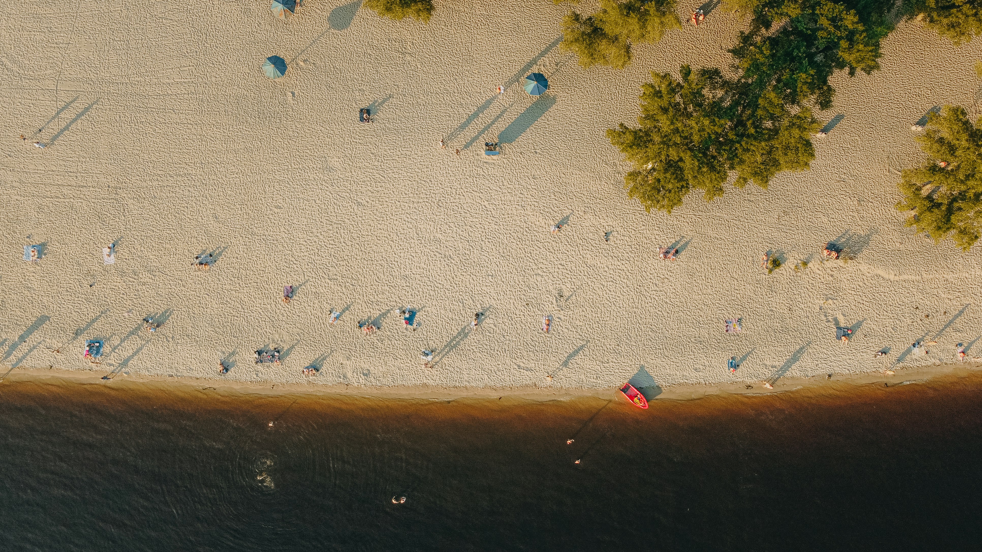 aerial view of people on beach during daytime